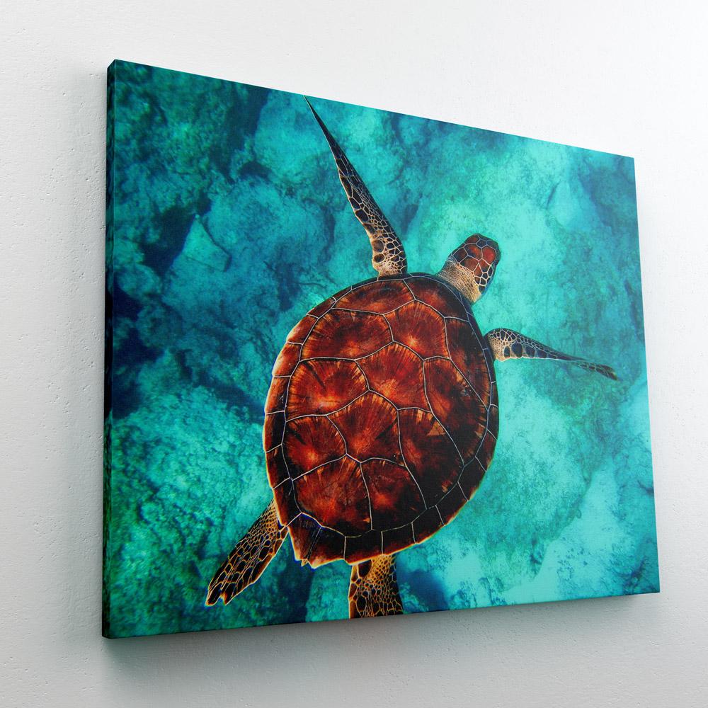 https://paintnumbers.shop/cdn/shop/products/paint-by-numbers-sea-turtle_1200x.jpg?v=1590070990