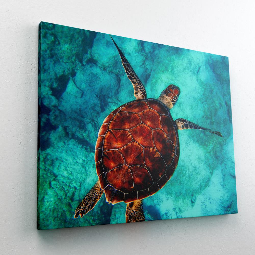paint-by-numbers-sea-turtle