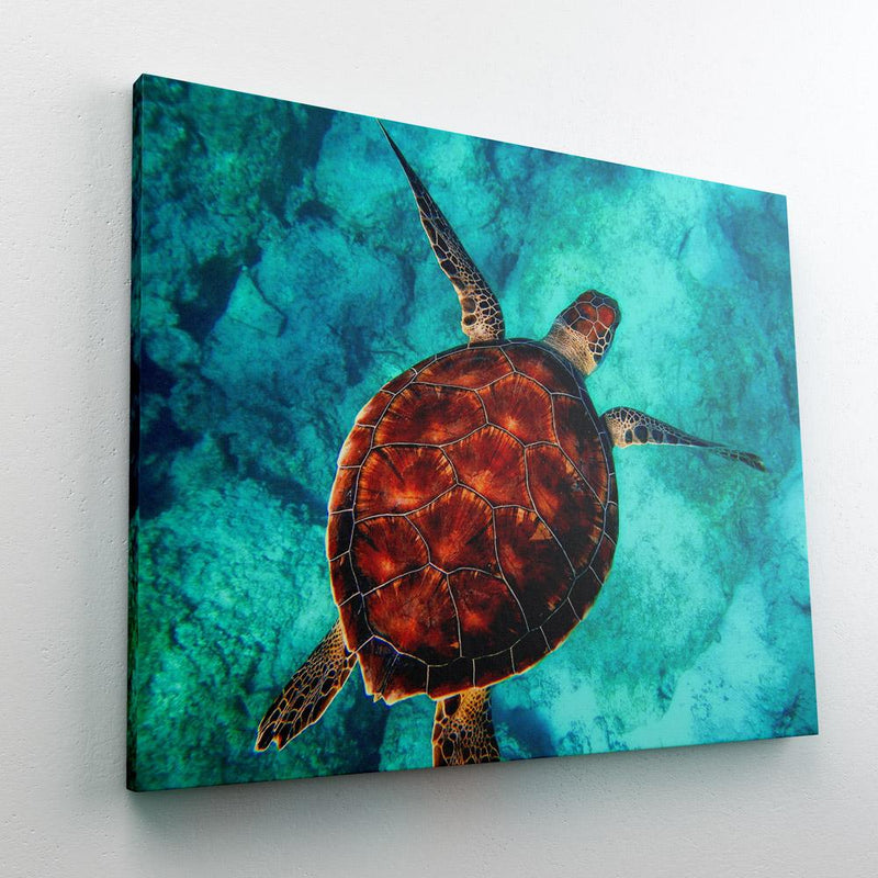 Paint By Numbers Sea Turtle - PaintNumbers